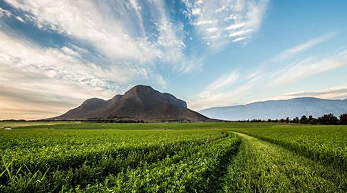 纽崔莱®营养保健食品