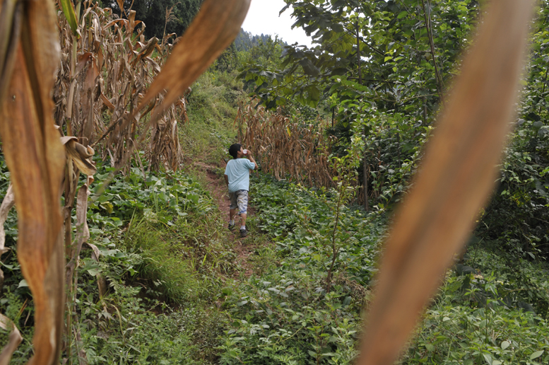 家有"春苗" - 图片2