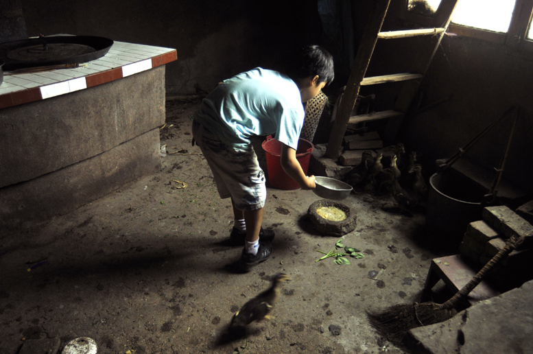 家有"春苗" - 图片3