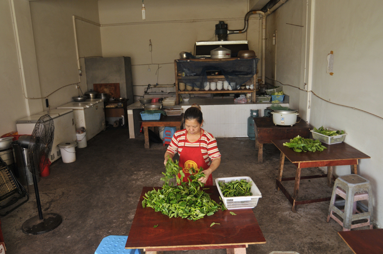 家有"春苗" - 图片6