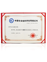 中国社会组织评估3A等级证书中国社会组织评估等级证书——3A级
