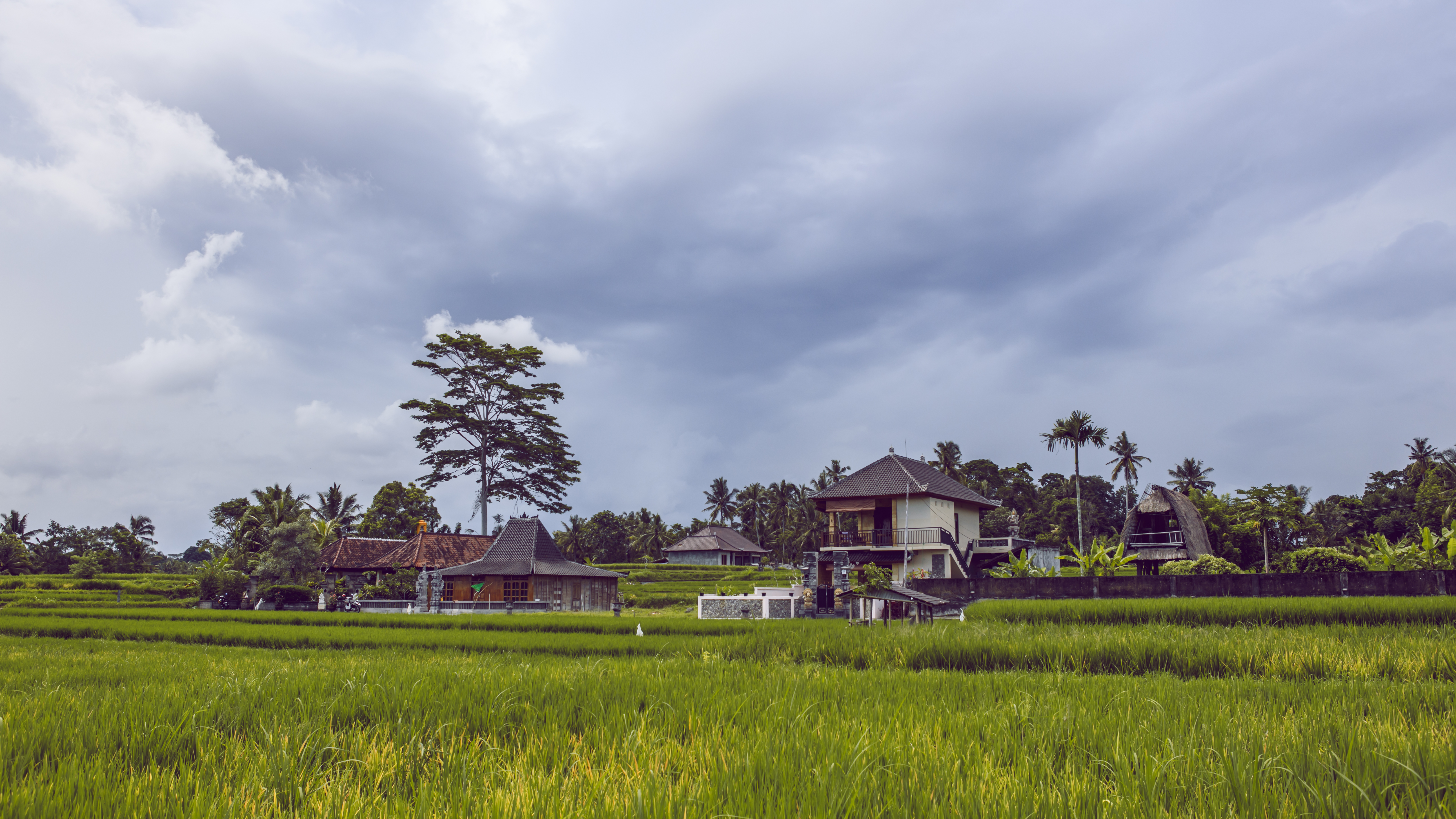 画面呈现巴厘岛原生态乡村景致，前景是连片葱翠饱满的稻田，远处错落分布着当地特色民居，热带椰林与绿植环绕四周，云层轻盈舒展，氛围清新闲适，尽显安利海外研学奖励旅程的舒适美好体验。