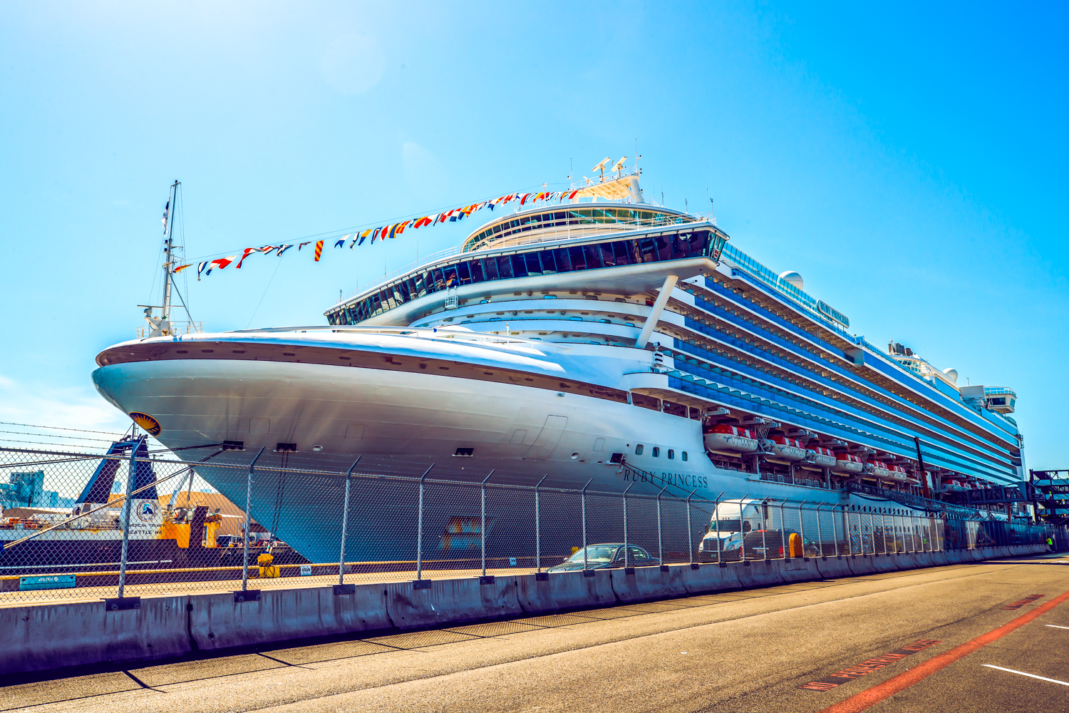 晴朗碧空下，印有“RUBY PRINCESS”字样的红宝石公主号豪华邮轮停靠在港口，船身悬挂缤纷彩旗，外观气派恢弘、整洁崭新，即将搭载安利优秀伙伴开启奖励旅程，整体氛围明快振奋，尽显品牌对伙伴的优厚礼遇，传递满满荣耀感。