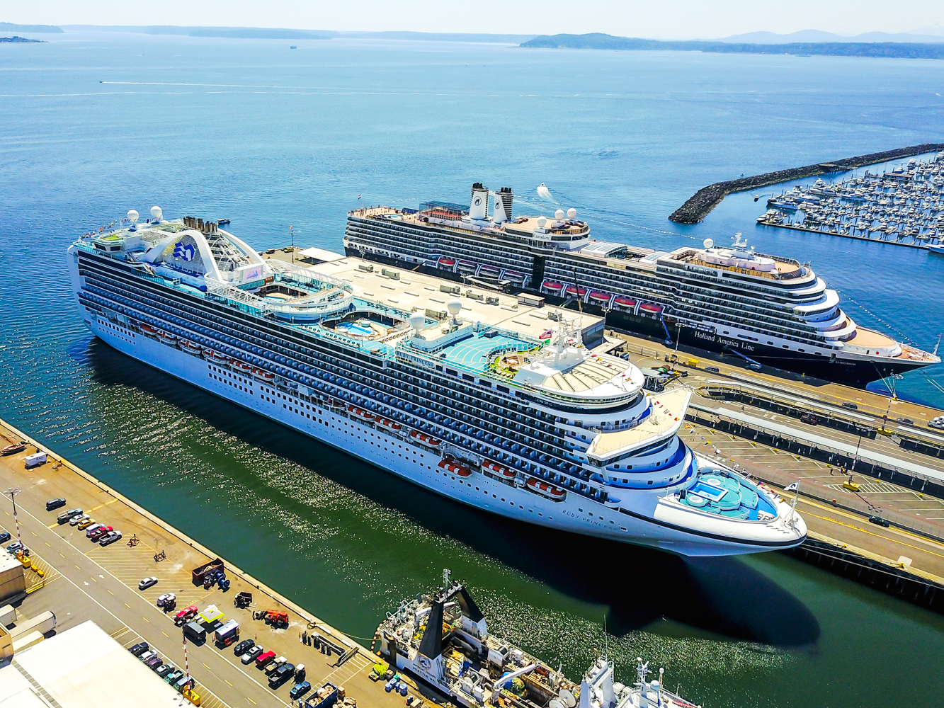 画面呈现安利优秀伙伴专属奖励旅程的港口场景，Ruby Princess号与Holland America Line旗下豪华邮轮停靠在澄澈开阔的海港边，邮轮恢弘大气，岸区整洁有序，整体氛围昂扬喜悦，彰显安利对优秀伙伴的丰厚回馈与贴心礼遇。
