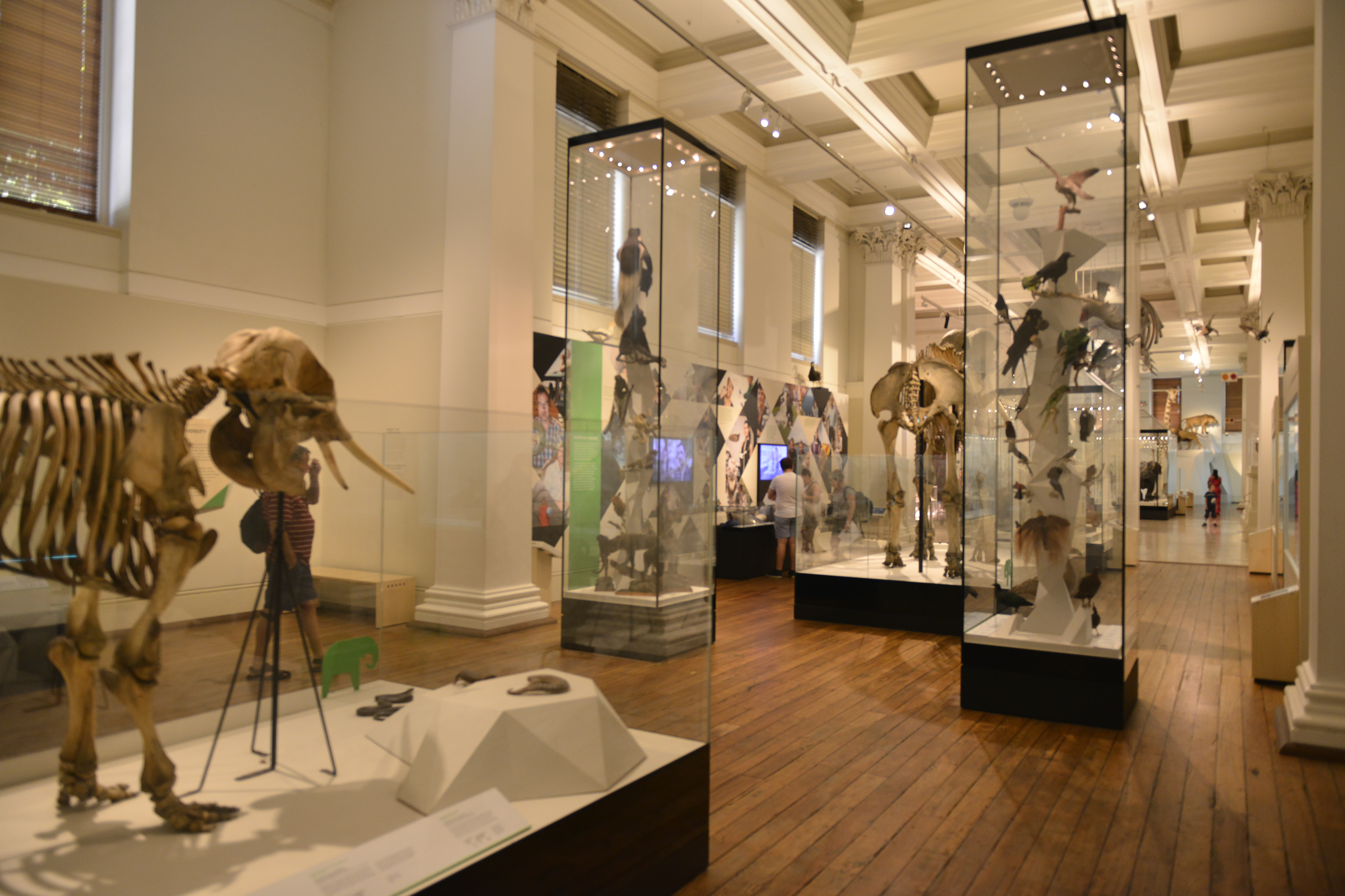 本次安利研学活动走进自然科普展馆，馆内陈列着古生物骨架、多样生物标本，展陈通透有序，参观的伙伴漫步展区沉浸式探索自然演化的奥秘，现场氛围静谧且充满探索感，充分彰显安利鼓励伙伴拓宽视野的正向品牌导向。