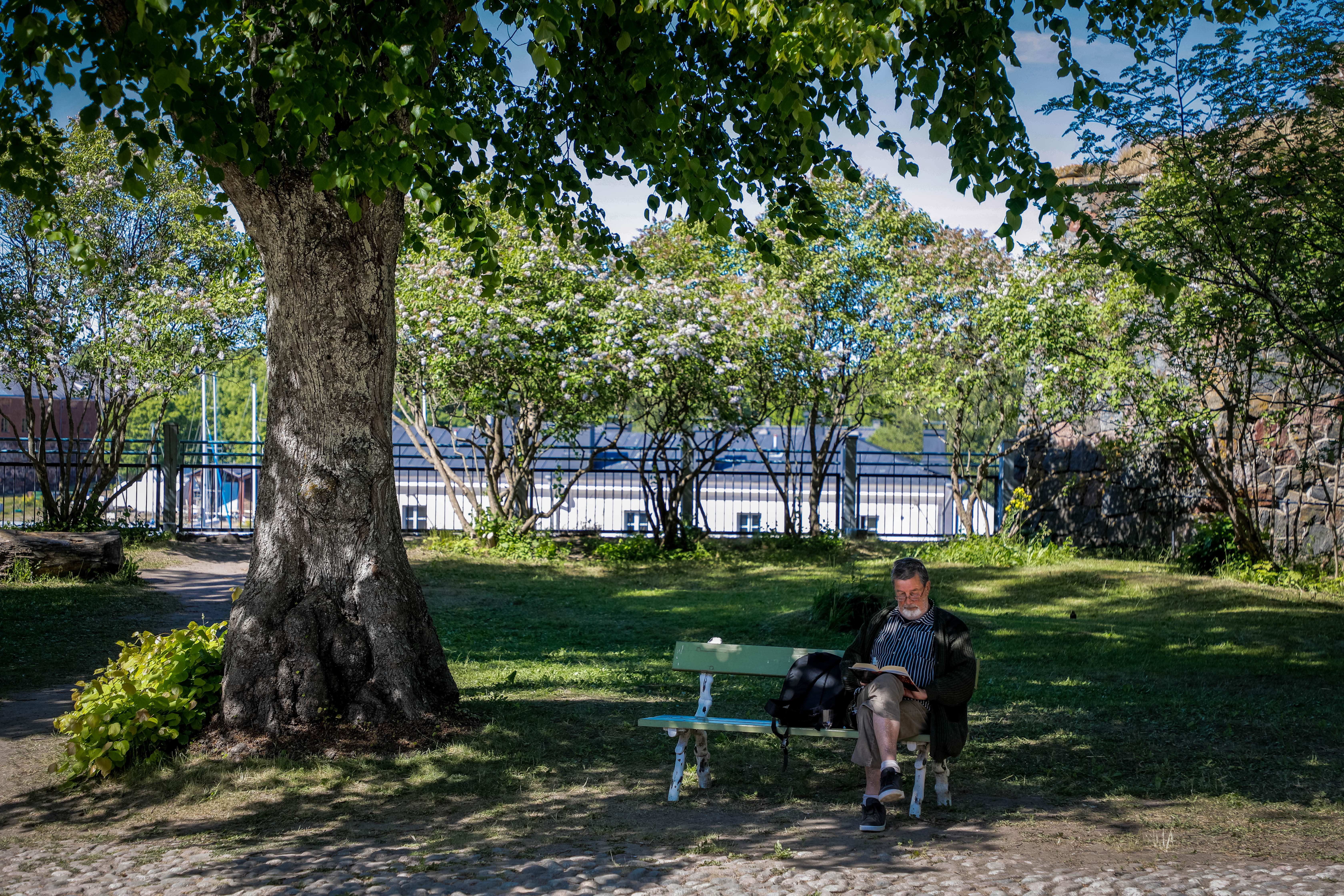 晴日的户外公园草木葱茏，繁茂绿树投下清凉树荫，一位男士安坐休闲长椅上专注阅读，身侧放着黑色背包，周边环境清新雅致，整体氛围静谧闲适，尽显舒缓放松的健康美好生活风貌。