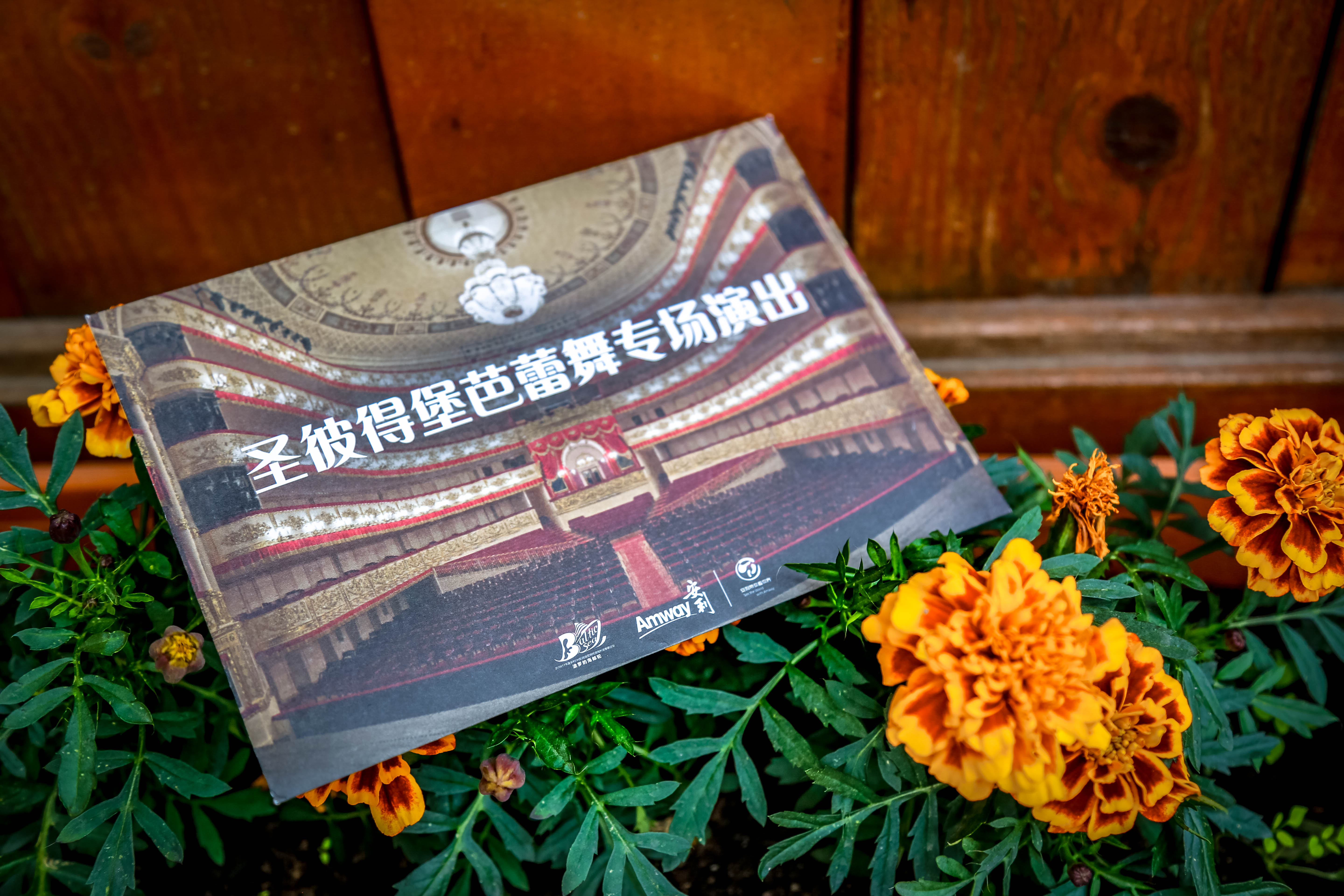 画面中的宣传物料印有剧场内景，标注核心文字“圣彼得堡芭蕾舞专场演出”，带有清晰的安利品牌标识，被盛放的橙黄色花卉簇拥，背景为暖调木质墙面，整体氛围雅致考究，凸显此次安利专属文化活动的高品质感。