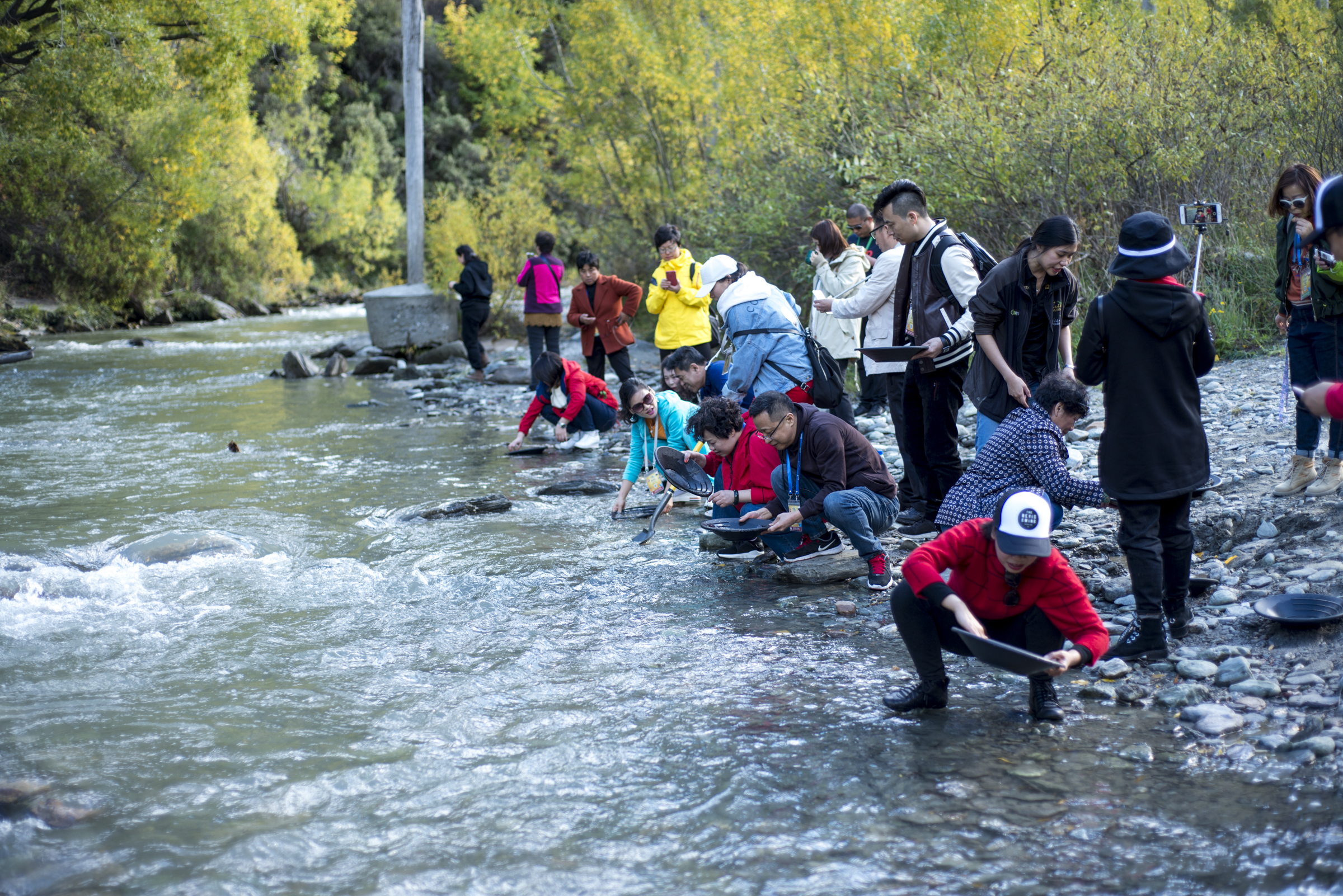 秋日山林环抱的清澈溪流边，安利团建活动正开展。伙伴们兴致高昂，不少人蹲在浅滩处手持淘金盘体验淘金乐趣，其余成员在岸边围观交流、记录精彩瞬间，现场氛围轻松活跃，尽显安利团队融洽的氛围与饱满的活力。