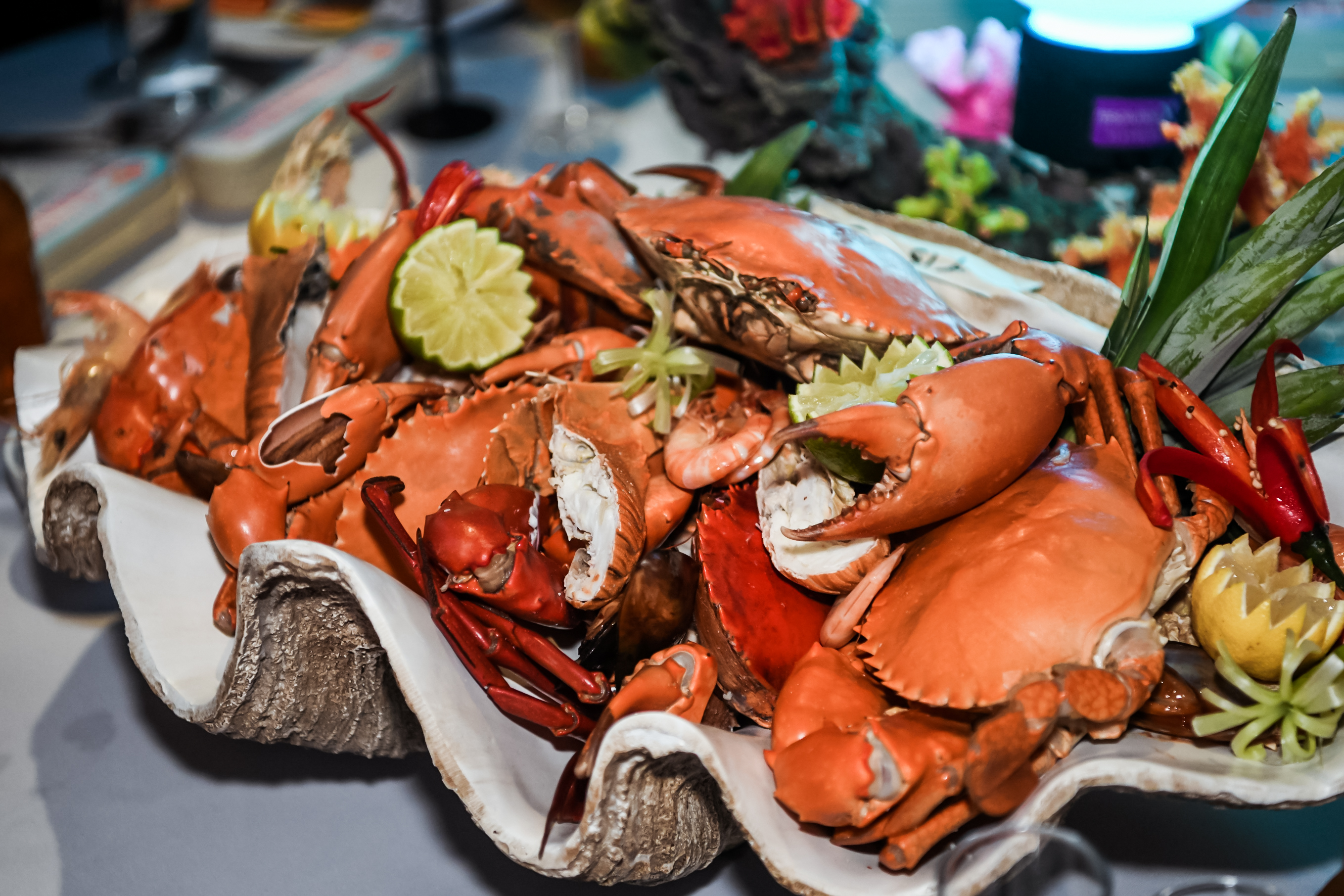 本次安利品牌活动晚宴上，贝壳造型餐盘中摆满红润饱满的肥硕海蟹、鲜虾等海鲜，搭配青柠、鲜蔬点缀，卖相鲜亮诱人。餐食精致丰盛，尽显活动高规格配置与贴心安排，为参会伙伴带来优质用餐体验。