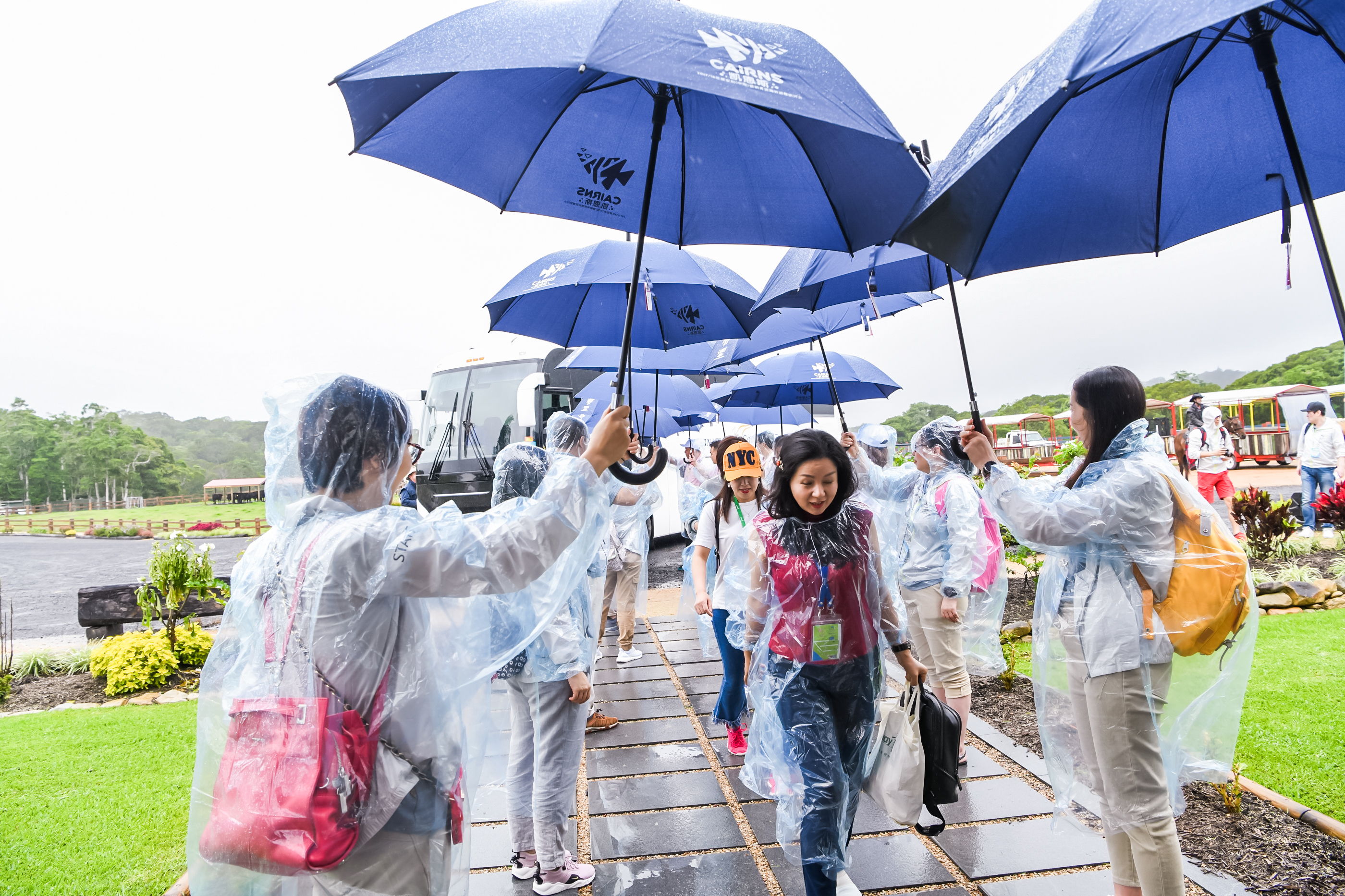 本次安利凯恩斯行程的郊野站点，雨天里身着透明雨衣的工作人员手持印有“CAIRNS 凯恩斯”字样的蓝色雨伞，分列步道两侧为到访的伙伴撑伞遮雨，现场氛围温暖融洽，尽显安利团队互助的暖心特质与行程的贴心服务。