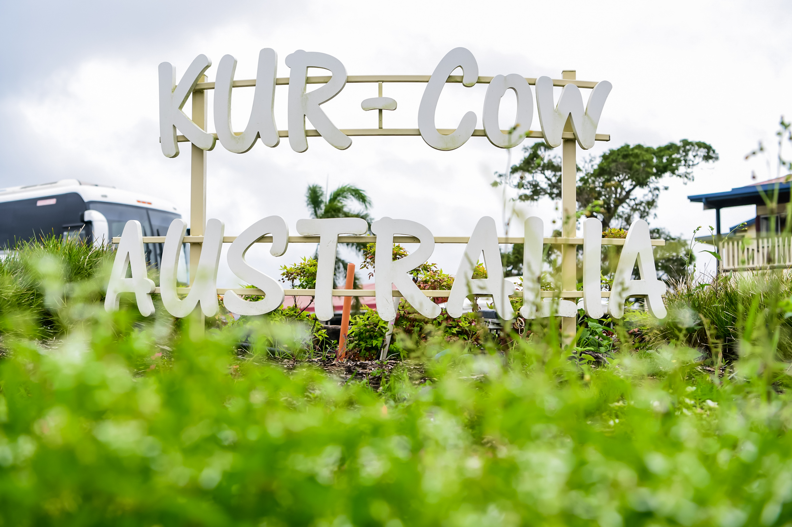 画面主体是印有“KUR-COW”“AUSTRALIA”字样的户外标识牌，白色立体字搭配浅黄支架，掩映在葱郁鲜翠的绿植间，背景衬着多云天幕、热带树木与场地配套设施，氛围清新明快，是安利澳大利亚活动的专属场地标识。