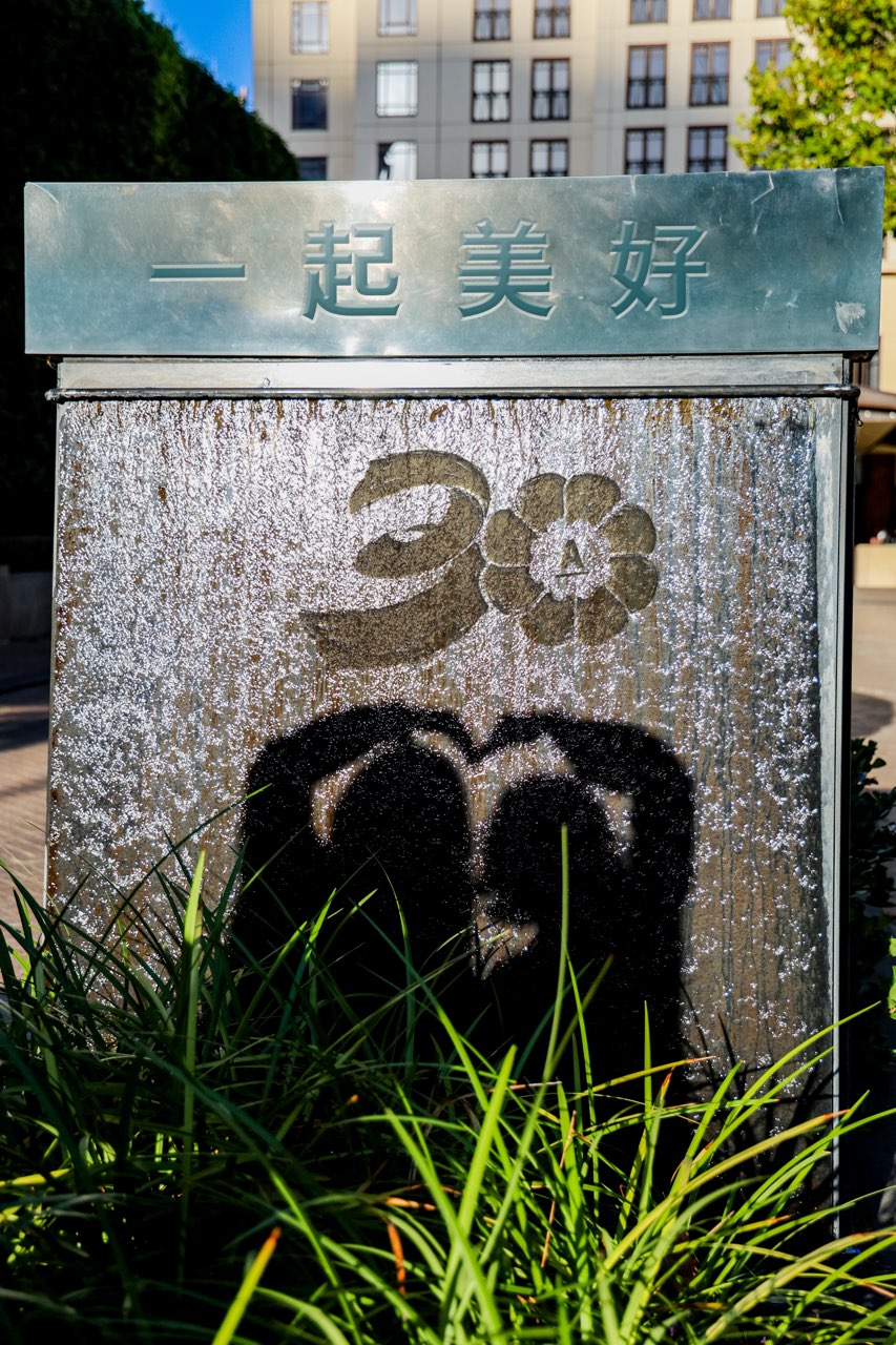 画面为安利30周年主题水景标识，顶部刻有核心文字“一起美好”，流动水幕上印有安利30周年专属纪念标识，两名伙伴比心的身影投映在水幕之上，前景绿植鲜亮富有生机，整体氛围温暖向上，彰显安利携手伙伴共赴美好征程的品牌期许。