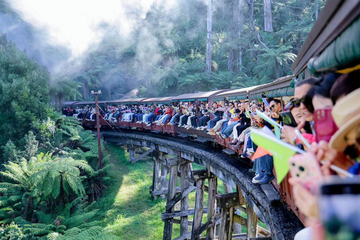 本次安利团队出游活动中，伙伴们搭乘复古蒸汽小火车穿行于葱郁茂密的原始林间，列车驶过木制栈桥，白色蒸汽萦绕在绿意盎然的山林间，大家坐在开放式车厢边缘，手持小旗、笑意盎然地拍照记录，氛围轻松愉悦，尽显团队蓬勃活力。