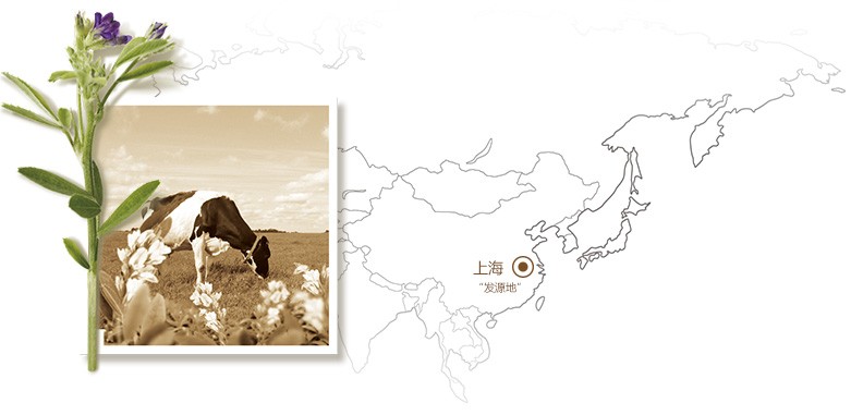 发现营养丰富的神奇植物——紫花苜蓿