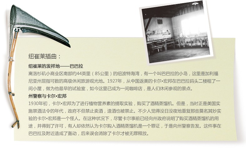 用简陋的工具探索营养的奥秘