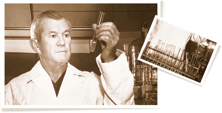 理想终于变成现实