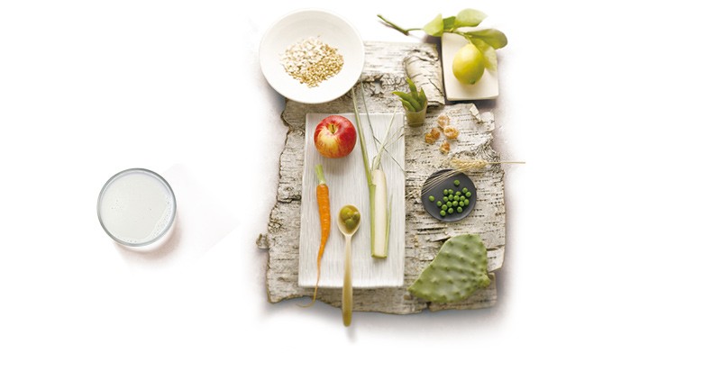 营养是生命的源泉