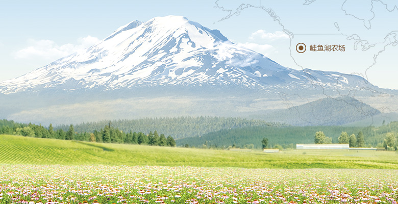 鲑鱼湖农场