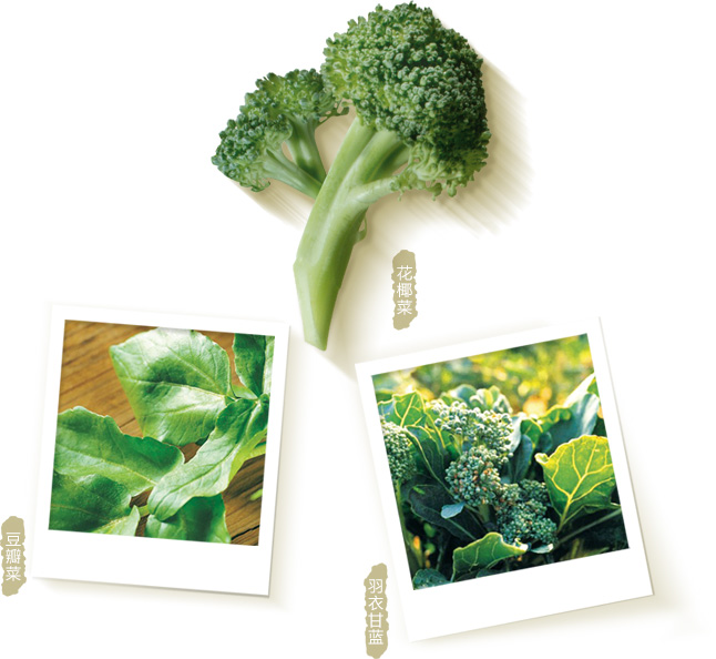 花椰菜、豆瓣菜、羽衣甘蓝