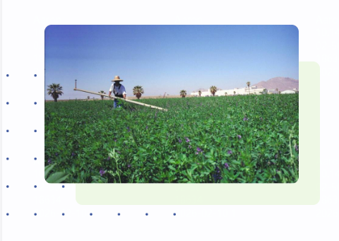 精挑细选，确保原料安全配图