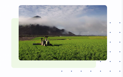   规范的供应商管理配图