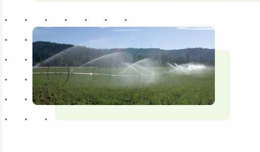  植物浓缩物中的植物营养素配图