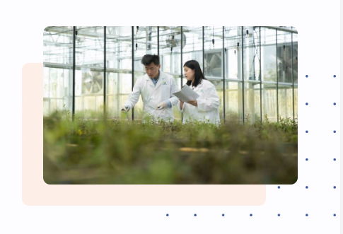  可靠的品质保证系统配图