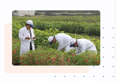  全面的持续改进体系配图