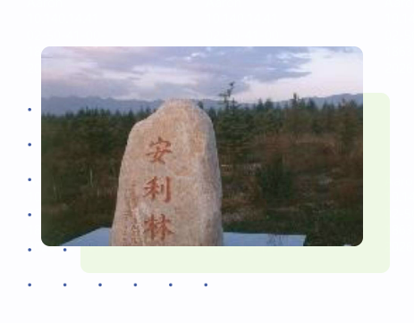   安利林成功植树100万棵配图