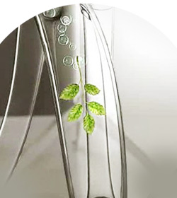 严谨的科学鉴定