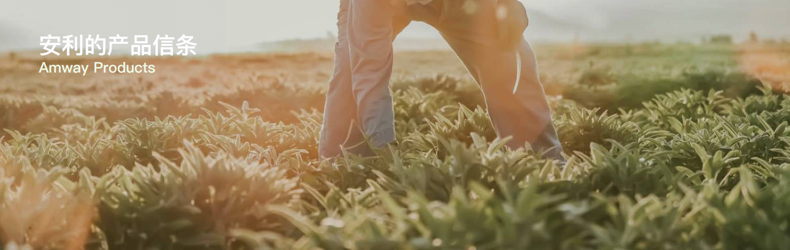   安利的产品信条头图