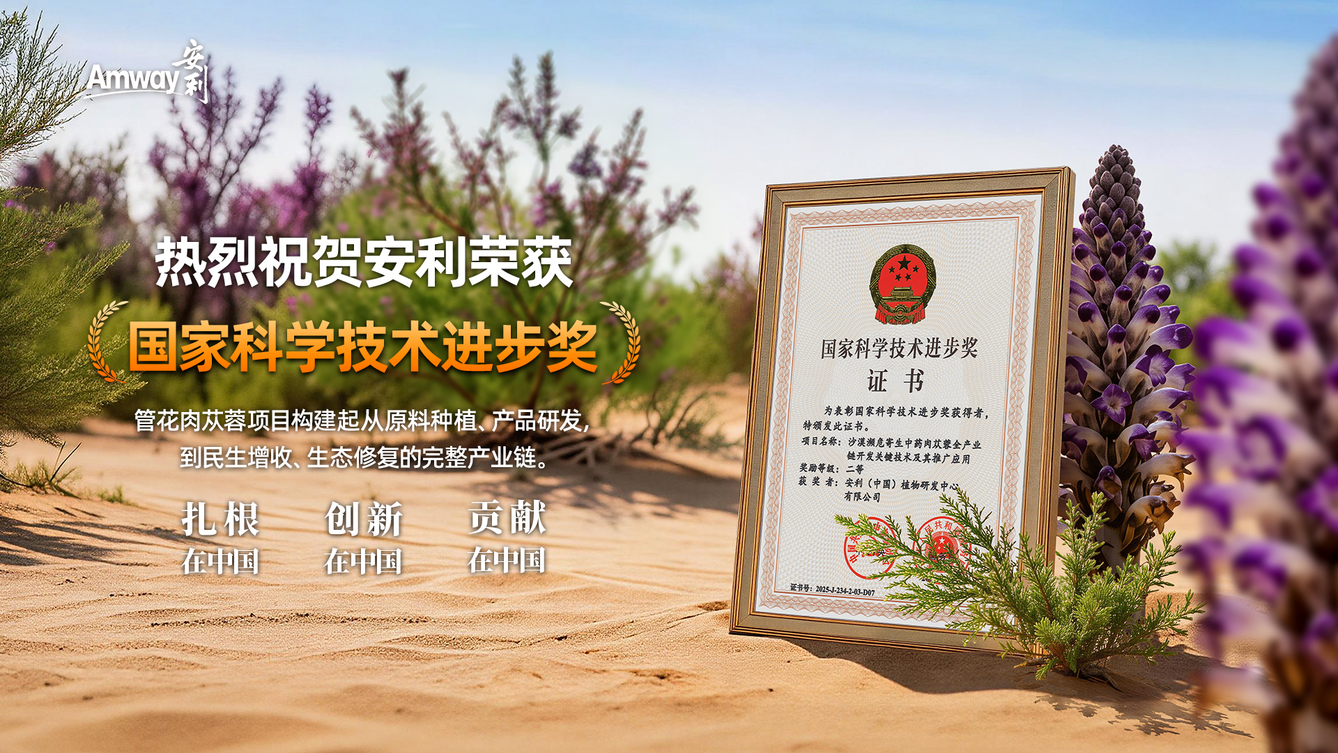 安利荣获2025年度国家科学技术进步奖